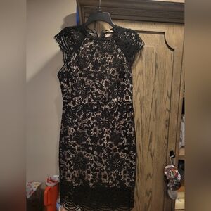 Main Strip Black and Tan Sheath Mini Dress